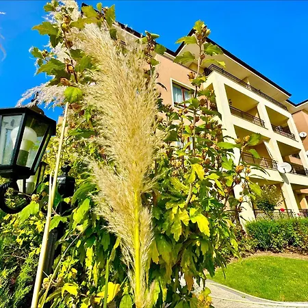 Daire Menada Sea Dreams *