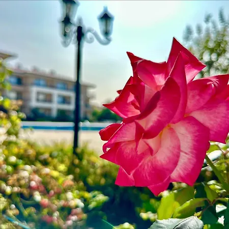 アパート Menada Sea Dreams スヴェティ・ヴラス