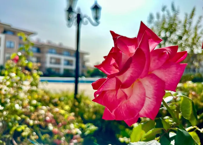 Apartament Menada Sea Dreams Sveti Vlas